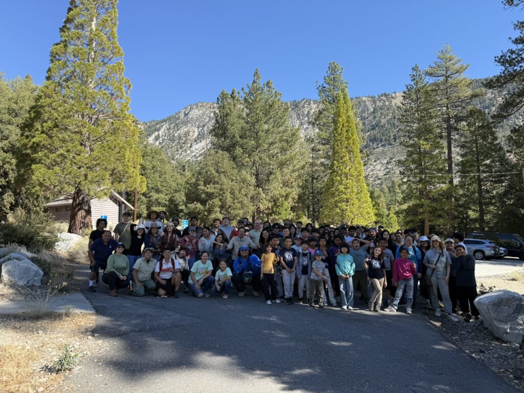 Group of volunteers in forest