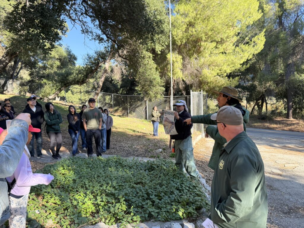Group of people in forest