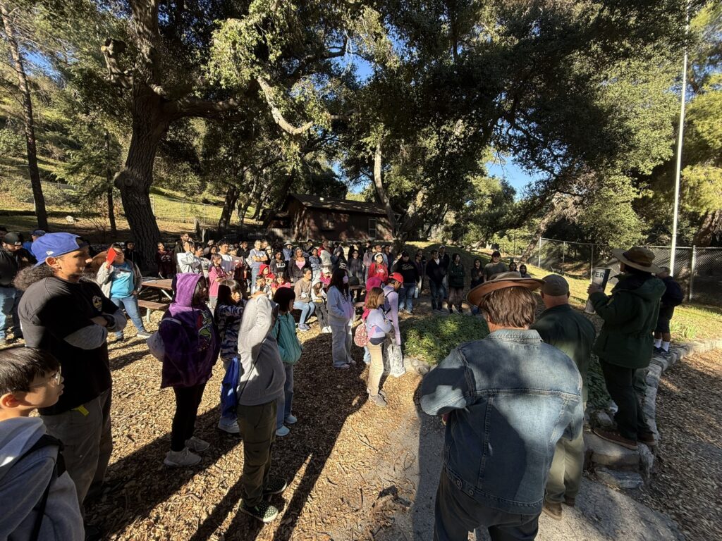 Group of people in forest