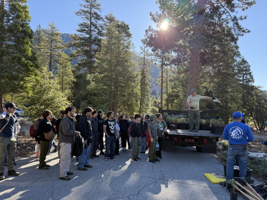 Group of people in forest